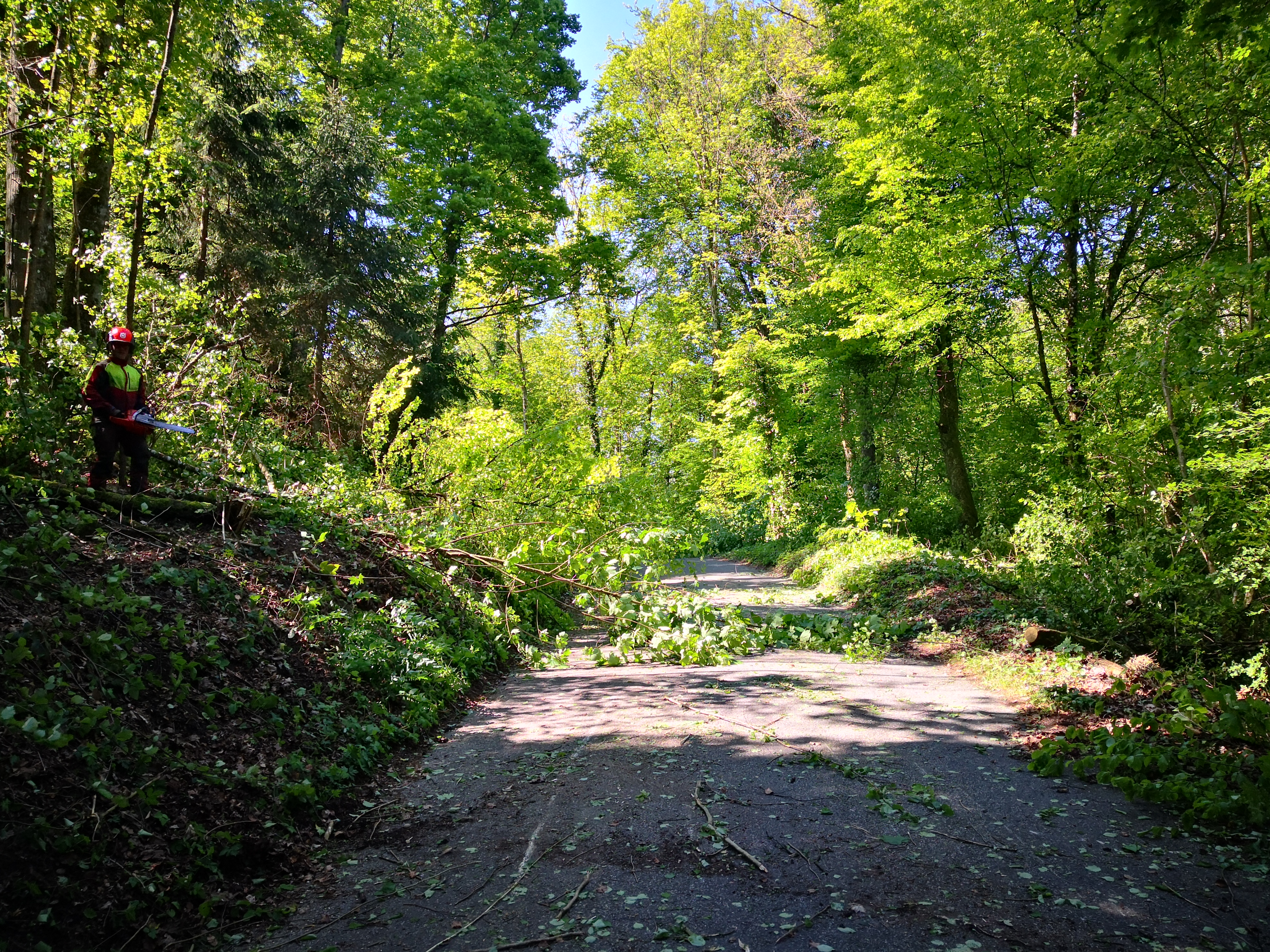 Hägglingerstrasse Wohlenschwil-Hägglingen