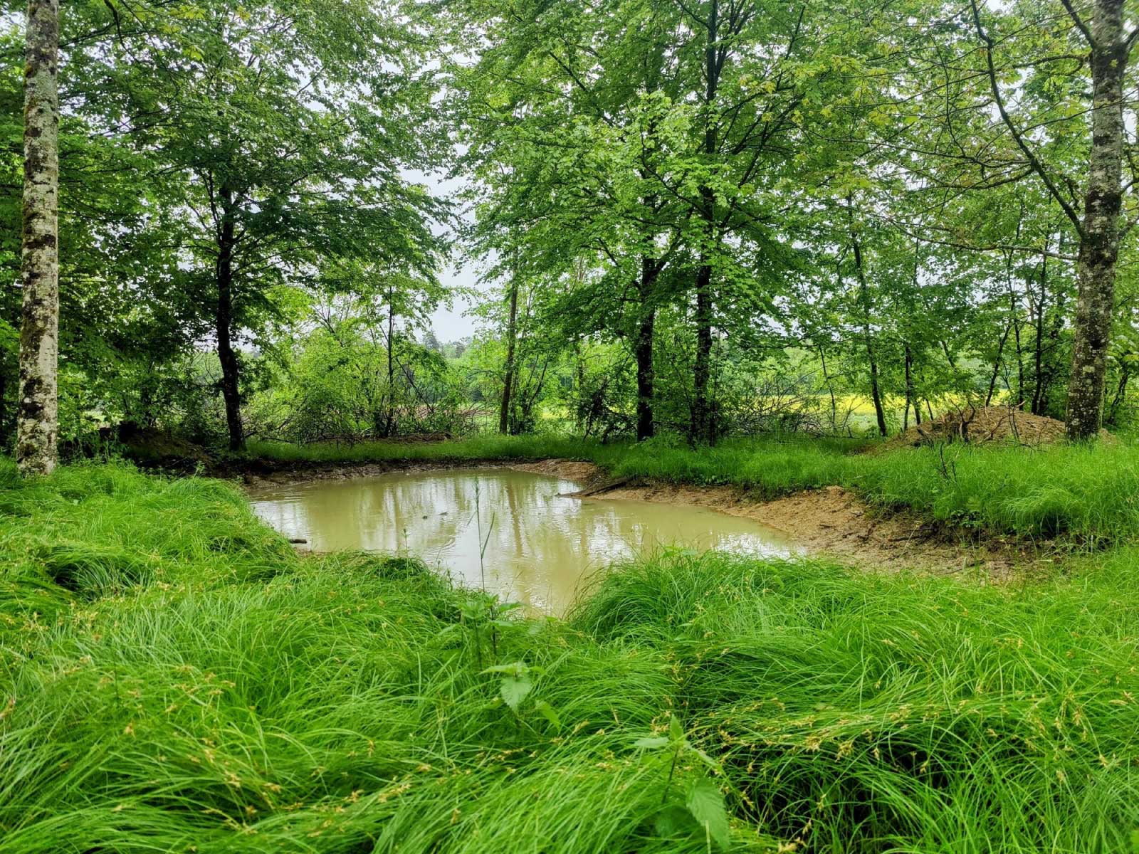 Weiher