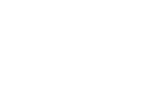 Logo Forst Birretholz