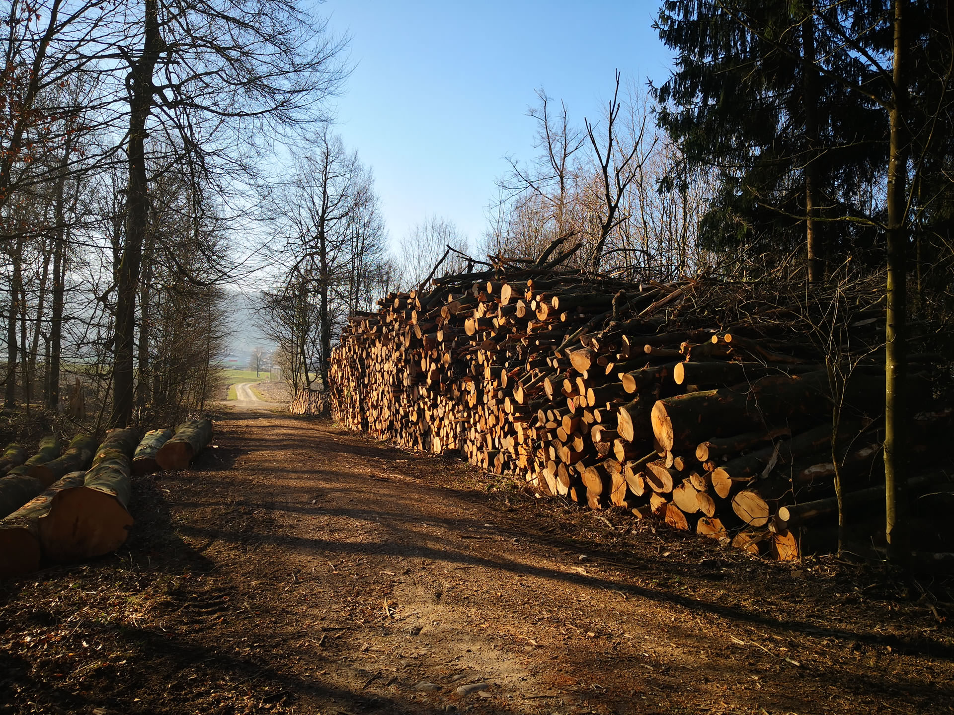 Holz für Schnitzelheizung